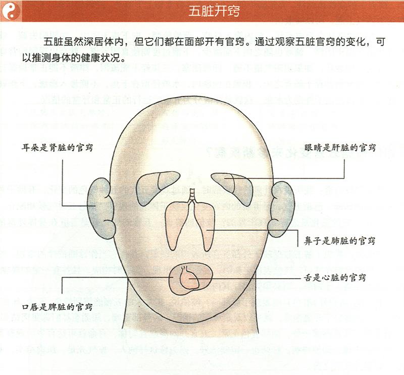 如何根据五官变化来诊断疾病？