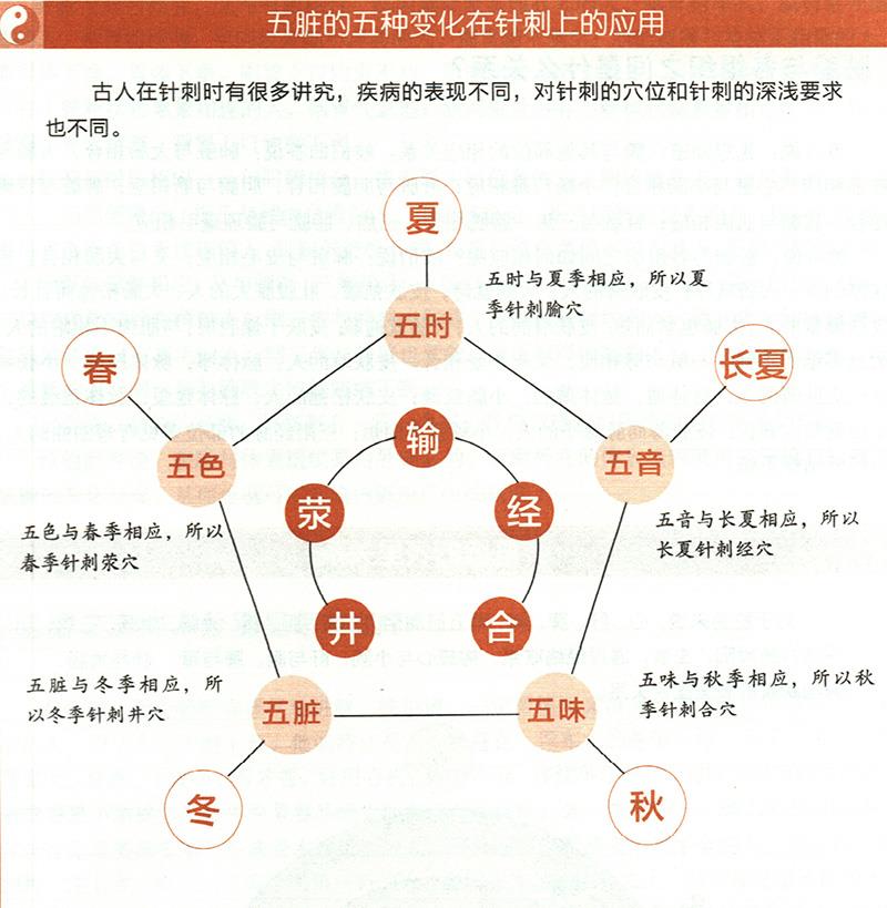 五脏的五种变化对应的不同针刺法有哪些？