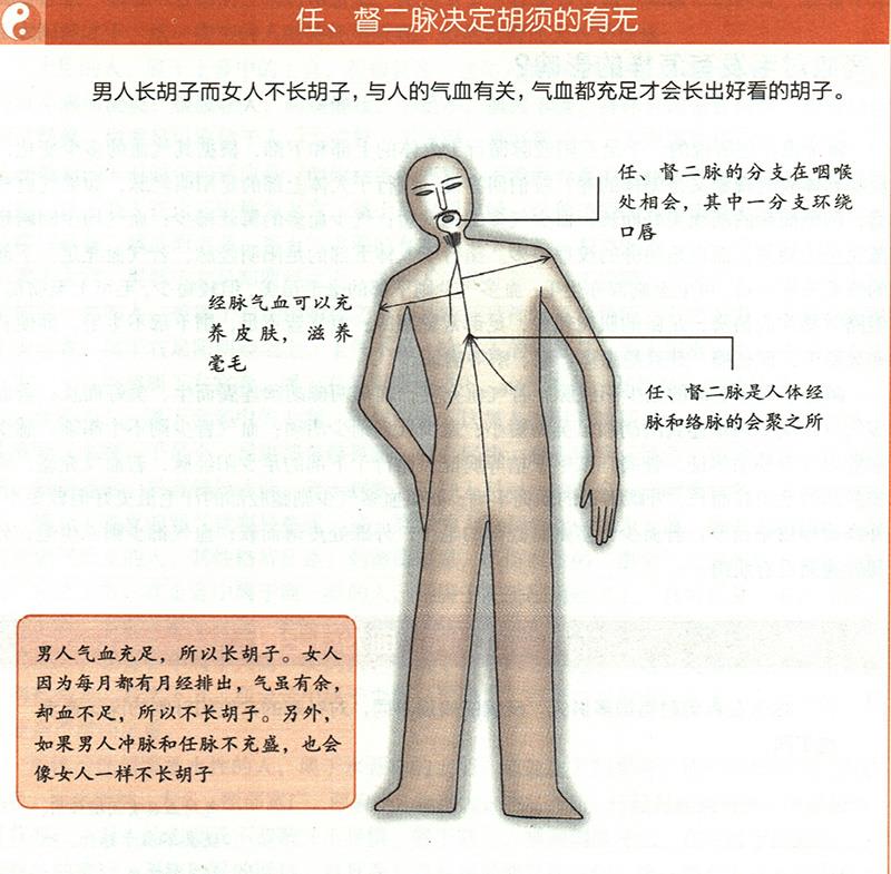 气血对毛发有怎样的影响？