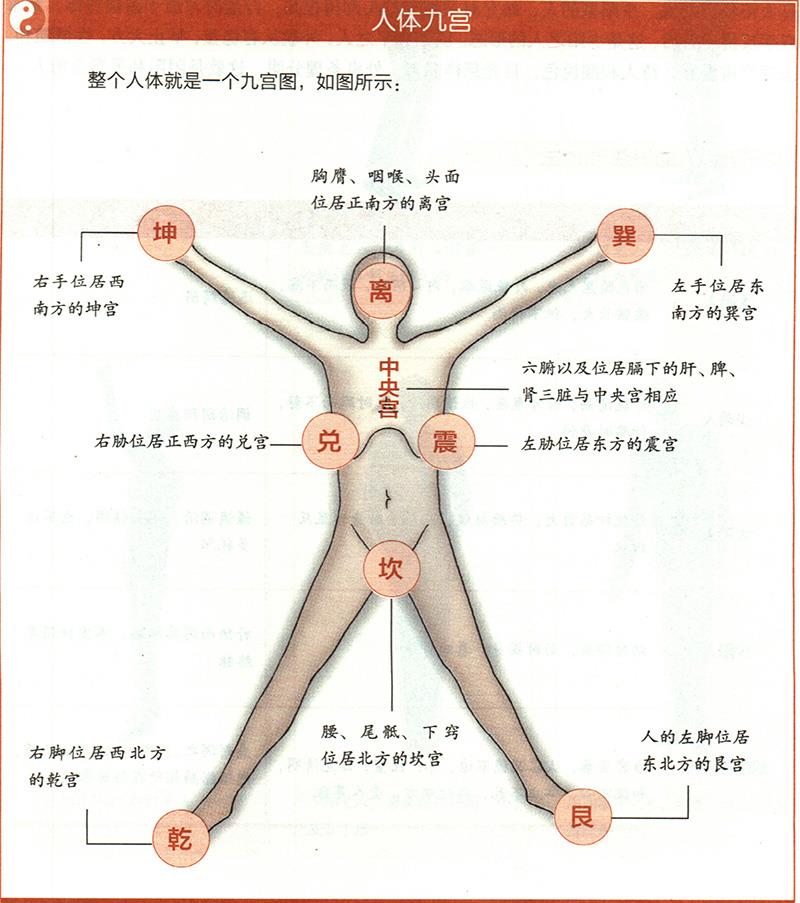 人体各部与九野是怎样对应的？