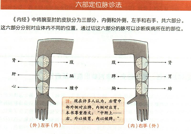 如何在尺肤上诊断疾病？