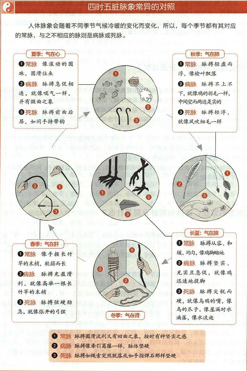 五脏的常脉、病脉和死脉分别是什么？