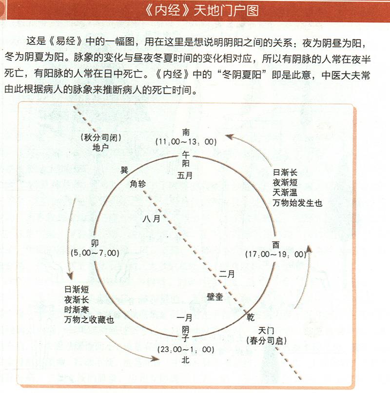 冬阴夏阳从脉象上怎样区分？