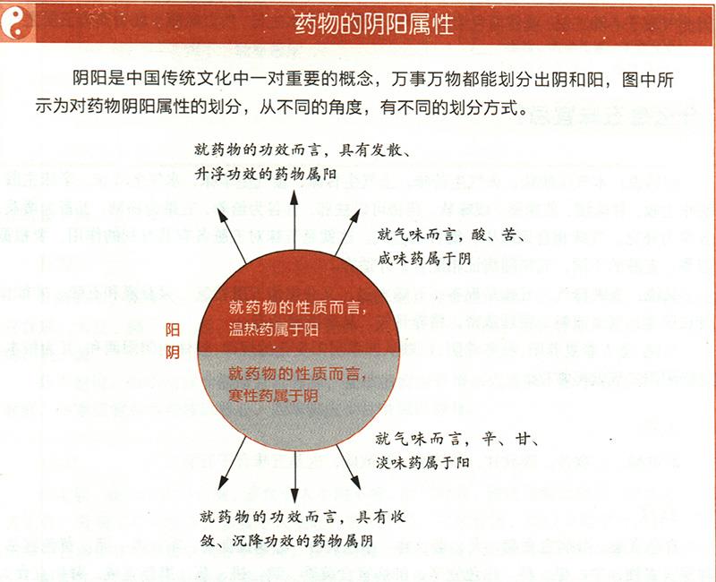 什么是气味阴阳？