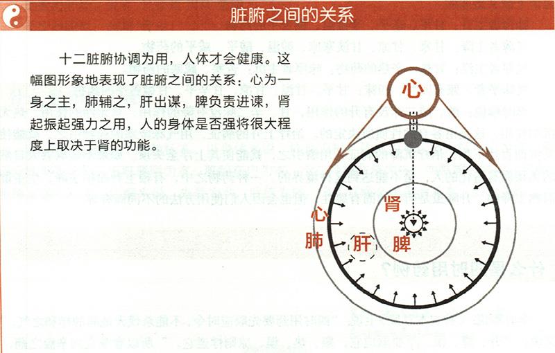 什么是五脏五味补泻？