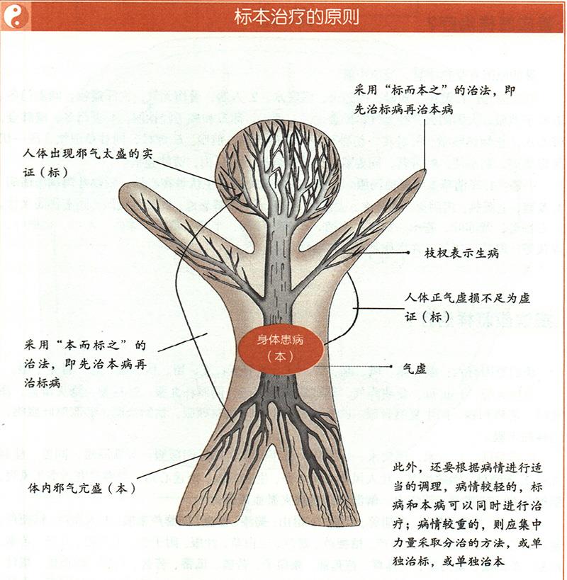 什么是标本阴阳？