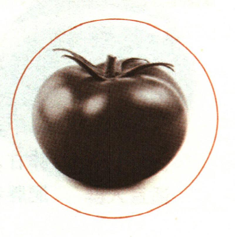 番茄是个保肝果 怎样吃能护肝防癌呢