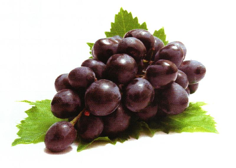 健脾和胃——葡萄