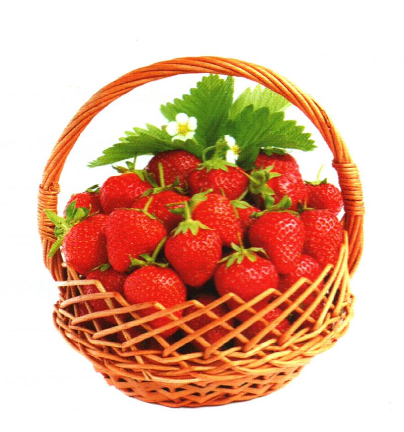 草莓——健脾开胃