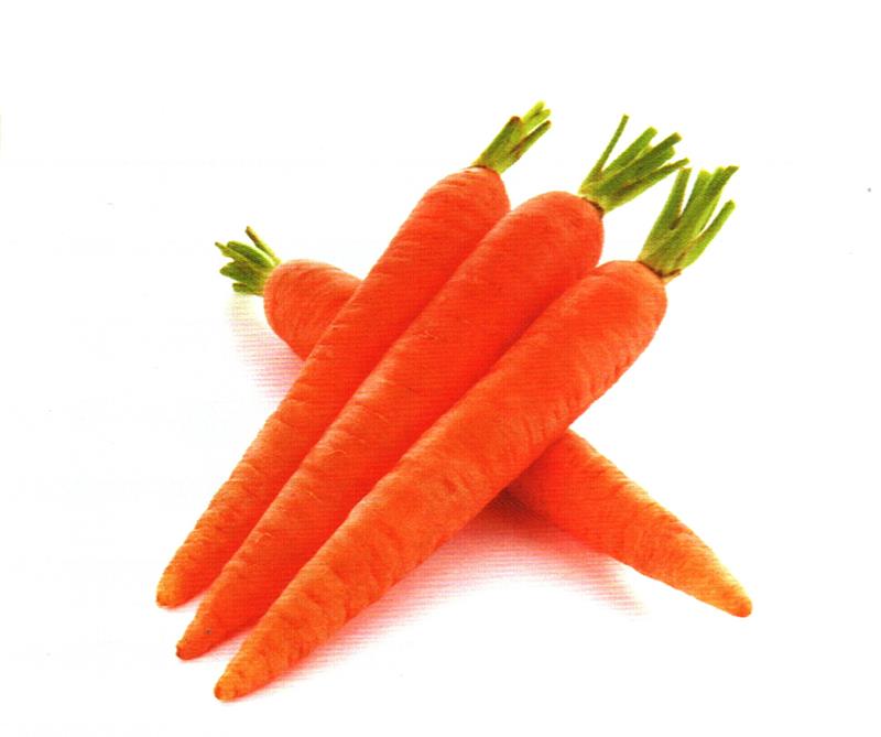 胡萝卜——通便防癌